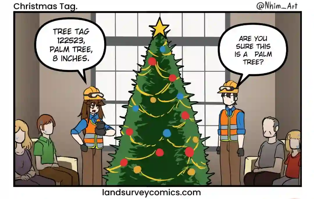 christmas tag.jpg