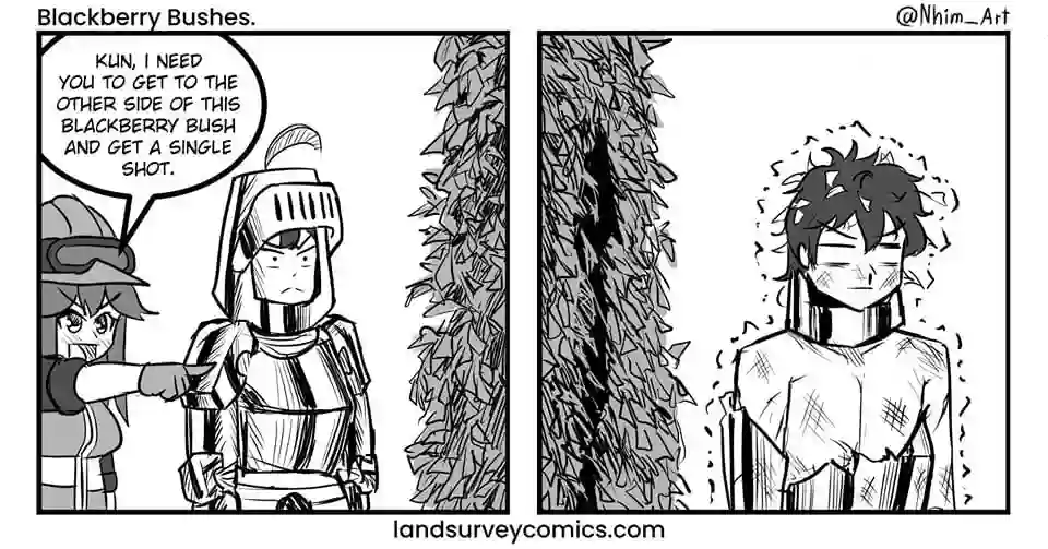 Blackberry bushes1.png
